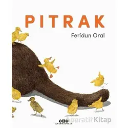 Pıtrak - Feridun Oral - Yapı Kredi Yayınları