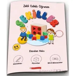Zeka Odaklı Öğrenim - Şekiller - Emrehan Halıcı - ODTÜ Geliştirme Vakfı Yayıncılık