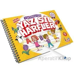 Tükenmeyen Yaz Sil Harfler - Tuba Öztürk - Bıcırık Yayınları