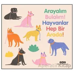 Arayalım Bulalım! Hayvanlar Hep Bir Arada! - Marta Nunes - Yapı Kredi Yayınları