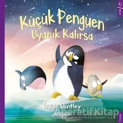 Küçük Penguen Uyanık Kalırsa - Tadgh Bentley - Sola Kidz