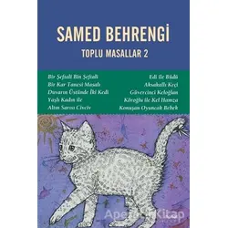 Toplu Masallar 2 - Samed Behrengi - Dipnot Yayınları