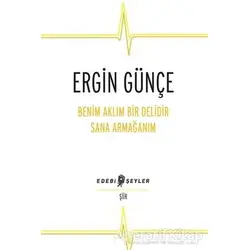 Benim Aklım Bir Delidir Sana Armağanım - Ergin Günçe - Edebi Şeyler