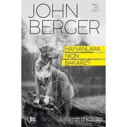 Hayvanlara Niçin Bakarız? - John Berger - Delidolu