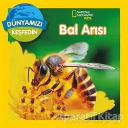 Dünyamızı Keşfedin - Bal Arısı - Jill Esbaum - Beta Kids
