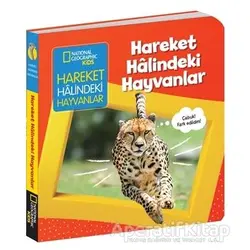 Hareket Halindeki Hayvanlar - İlk Kitaplarım Serisi - Ruth A. Musgrave - Beta Kids