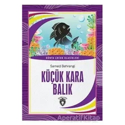 Küçük Kara Balık - Samed Behrengi - Dorlion Yayınları