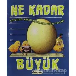Ne Kadar Büyük - Jessica Gunderson - Teleskop Popüler Bilim