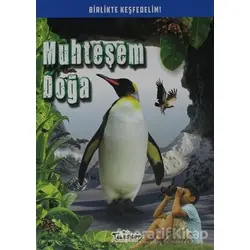 Muhteşem Doğa - Kolektif - Teleskop Popüler Bilim