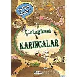 Çalışkan Karıncalar - Bu Nasıl Olabilir? - Marcin Brykczynski - Teleskop Popüler Bilim