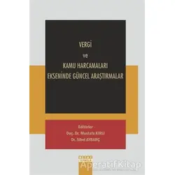 Vergi ve Kamu Harcamaları Ekseninde Güncel Araştırmalar - Kolektif - Detay Yayıncılık