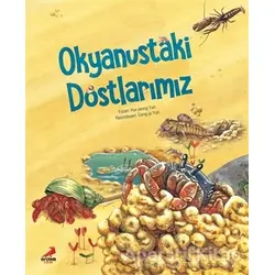 Okyanustaki Dostlarımız - Hui-jeong Yun - Erdem Çocuk