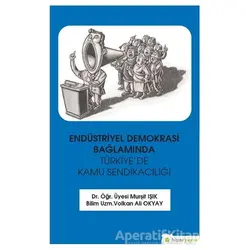 Endüstriyel Demokrasi Bağlamında Türkiye’de Kamu Sendikacılığı - Murşit Işık - Hiperlink Yayınları