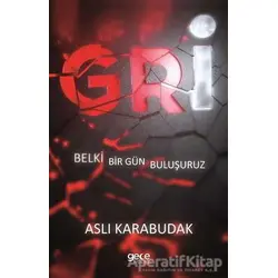 Gri - Aslı Karabudak - Gece Kitaplığı
