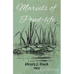 Marvels of Pond-Life - Henry J. Slack - Gece Kitaplığı