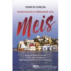Burnumuzun Dibindeki Ada Meis - Ferruh Gerçek - Gece Kitaplığı