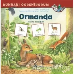 Ormanda - Dünyayı Öğreniyorum - Barbel Oftring - İş Bankası Kültür Yayınları