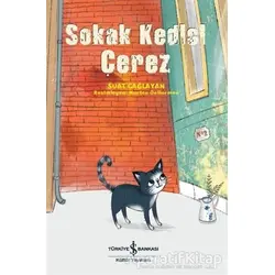 Sokak Kedisi Çerez - Suat Çağlayan - İş Bankası Kültür Yayınları