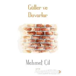 Güller ve Duvarlar - Mehmet Çil - Cinius Yayınları