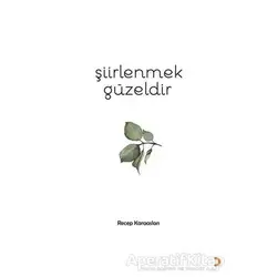 Şiirlenmek Güzeldir - Recep Karaaslan - Cinius Yayınları