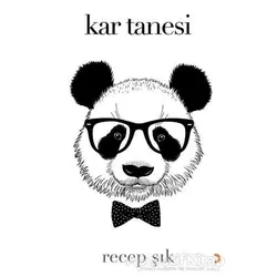 Kar Tanesi - Recep Şık - Cinius Yayınları