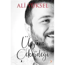 Üzüm Çekirdeği - Ali Yüksel - Cinius Yayınları