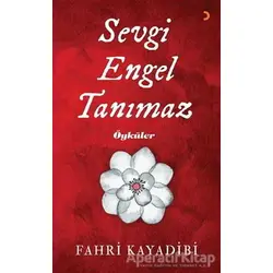 Sevgi Engel Tanımaz - Fahri Kayadibi - Cinius Yayınları