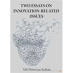 Two Essays on İnnovation-Related Issues - Veli Denizhan Kalkan - Cinius Yayınları
