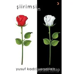 Şiirimsin - Yusuf Kadri Yerseven - Cinius Yayınları