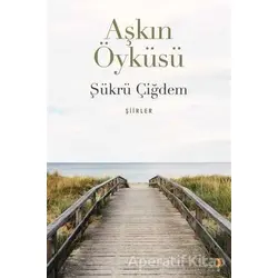 Aşkın Öyküsü - Şükrü Çiğdem - Cinius Yayınları