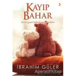 Kayıp Bahar - İbrahim Güler - Cinius Yayınları