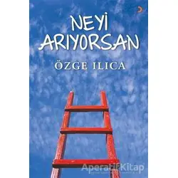 Neyi Arıyorsan - Özge Ilıca - Cinius Yayınları