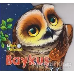 Baykuş - Kolektif - Parıltı Yayınları