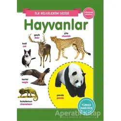 Hayvanlar - İlk Bilgilerim Dizisi - Kolektif - 0-6 Yaş Yayınları