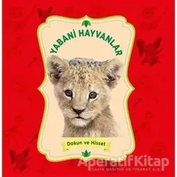 Yabani Hayvanlar - Dokun ve Hisset - Kolektif - 0-6 Yaş Yayınları