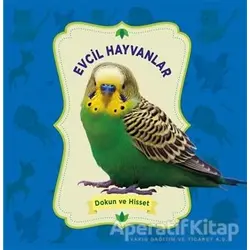 Dokun ve Hisset: Evcil Hayvanlar - Kolektif - 0-6 Yaş Yayınları