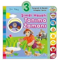 3+ Yaş Şimdi Hayatı Tanıma Zamanı - Kolektif - 0-6 Yaş Yayınları