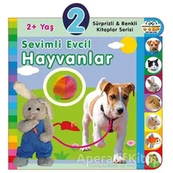 2+ Yaş Sevimli Evcil Hayvanlar - Kolektif - 0-6 Yaş Yayınları