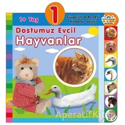 1+ Yaş Dostumuz Evcil Hayvanlar - Kolektif - 0-6 Yaş Yayınları