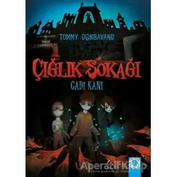 Çığlık Sokağı: Cadı Kanı - Tommy Donbavand - Artemis Yayınları
