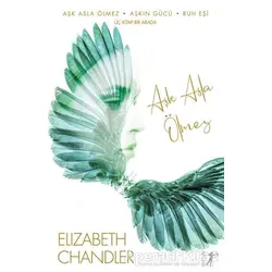 Aşk Asla Ölmez - Aşkın Gücü - Ruh Eşi (3 Kitap) - Elizabeth Chandler - Artemis Yayınları
