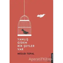 Yanlış Giden Bir Şeyler Var - Mesud Topal - Destek Yayınları
