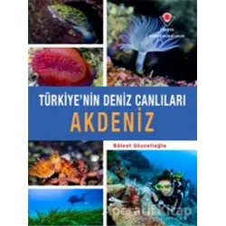 Akdeniz - Türkiyenin Deniz Canlıları - Bülent Gözcelioğlu - TÜBİTAK Yayınları