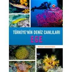 Ege - Türkiyenin Deniz Canlıları - Bülent Gözcelioğlu - TÜBİTAK Yayınları