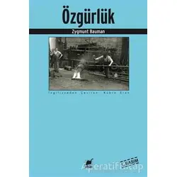 Özgürlük - Zygmunt Bauman - Ayrıntı Yayınları