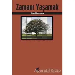 Zamanı Yaşamak - Jean Chesneaux - Ayrıntı Yayınları