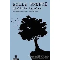 Uğultulu Tepeler - Emily Bronte - Ayrıntı Yayınları