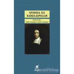 Spinoza ile Karşılaşmalar - Kolektif - Ayrıntı Yayınları