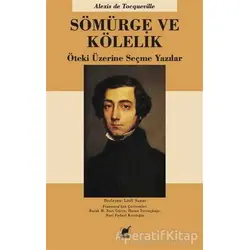 Sömürge ve Kölelik - Alexis de Tocqueville - Ayrıntı Yayınları