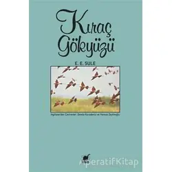 Kıraç Gökyüzü - E. E. Sule - Ayrıntı Yayınları